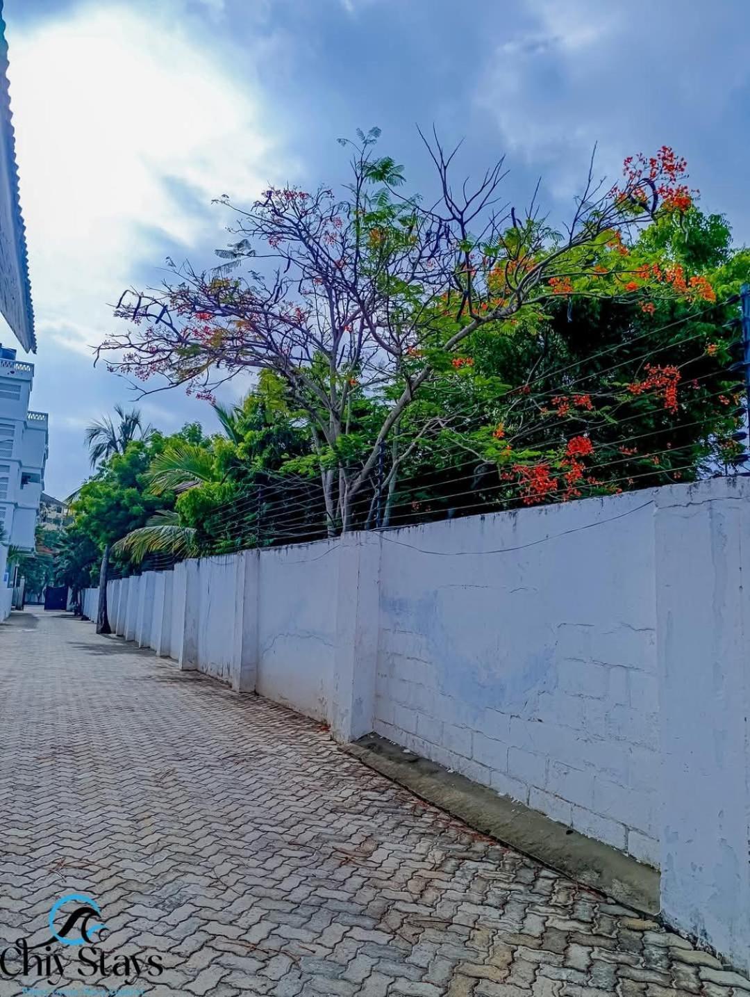 Chiy Stays Galu المظهر الخارجي الصورة